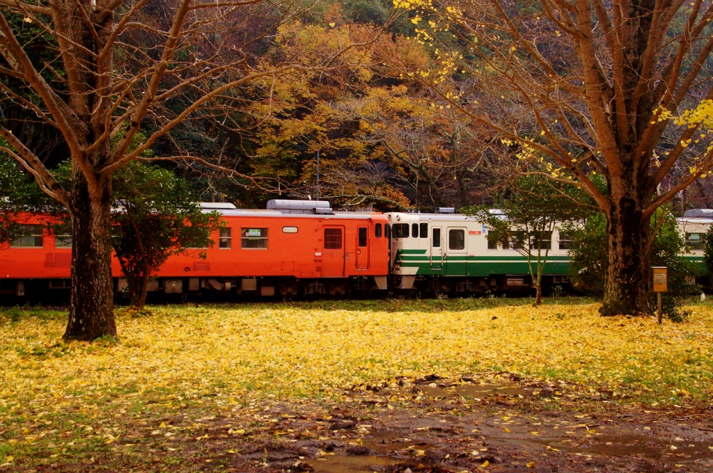 ヨンマル（キハ40）の紅白コンビ！