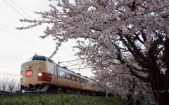 快速「あいづ」！桜に囲まれて！