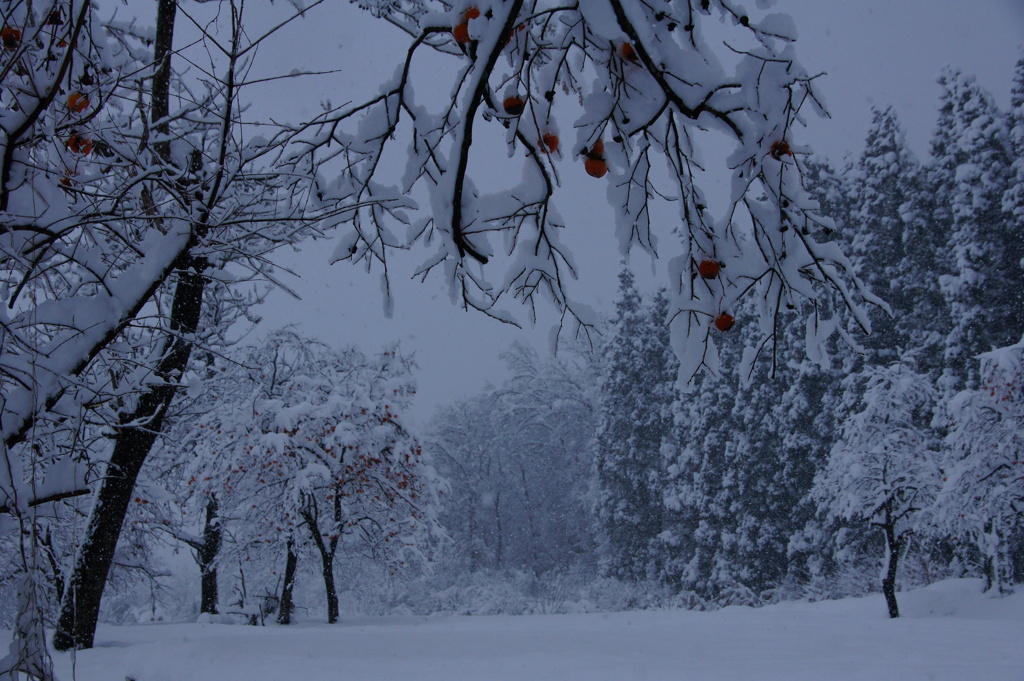 クリトレ運休の思い出！