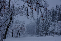 クリトレ運休の思い出！