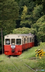 小湊鉄道　トロッコ列車の後ろ姿！