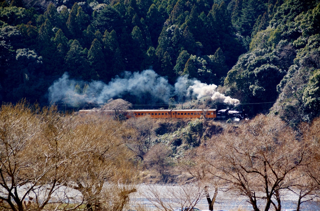 大井川鉄道　掲載追加！①