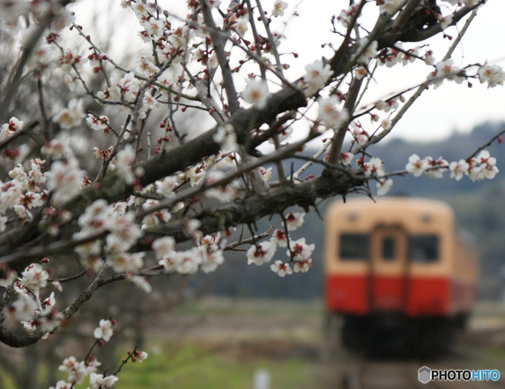 小湊鉄道との出逢い！①