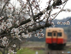 小湊鉄道との出逢い！①
