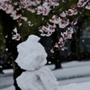 もう、春なのに東京では大雪⁈③