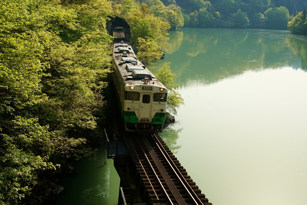 新緑の風景！