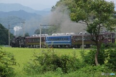 SL「大樹」旅情！