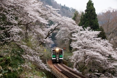 桜トンネル通過！①