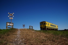 いすみ鉄道の「いつもの踏切」！