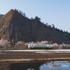 桜並木とキハ！