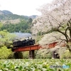 今の季節に見れそうな情景①～⑧の中の③