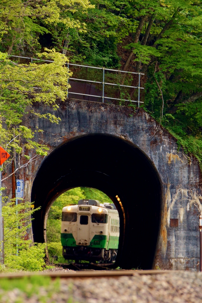 トンネルの向こうも手前も新緑‼