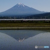田んぼに写った富士山の水鏡と新幹線②