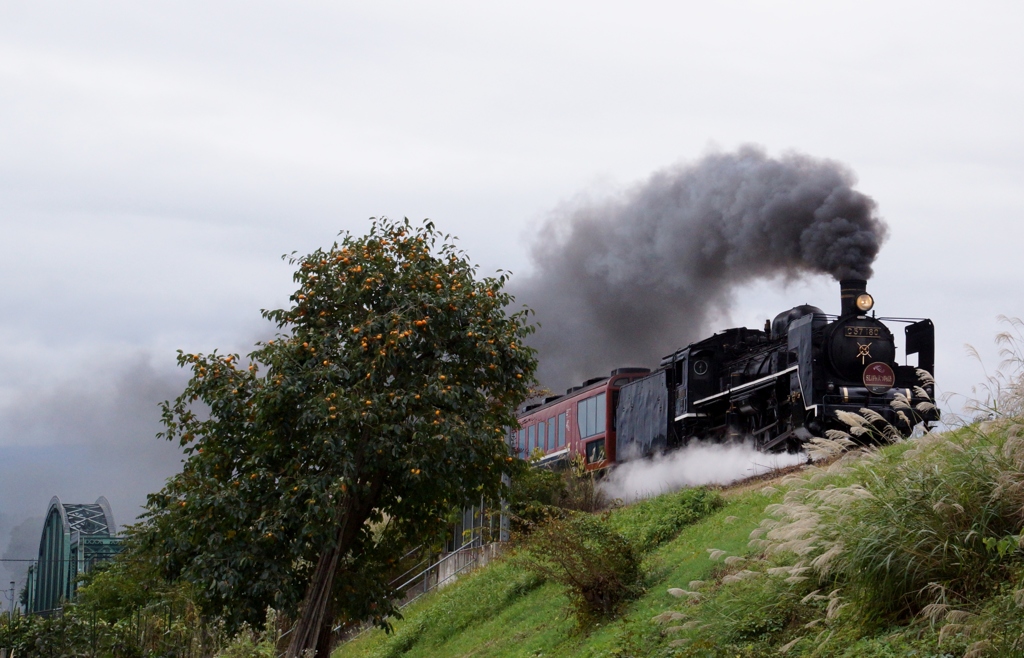 深戸橋梁の秋景！