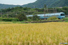 小田急線　田園風景！