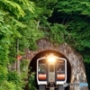 キハ120！トンネル飛出し！