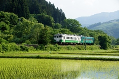 新緑の中のキハ40！