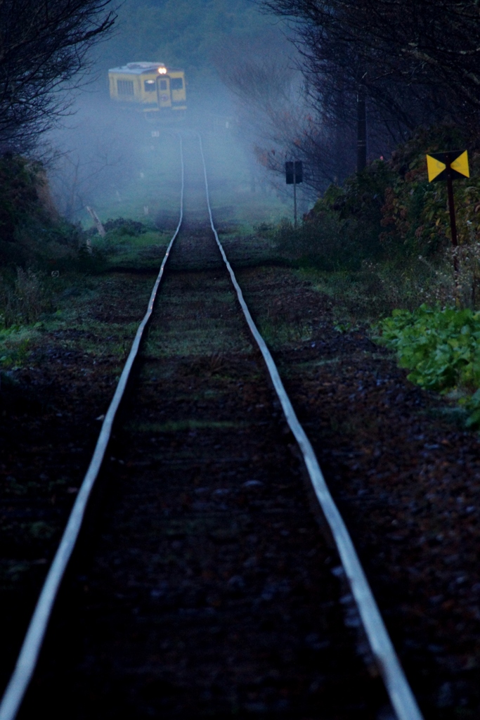 いすみ鉄道で見た不思議な光景！