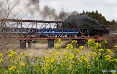 東武　鬼怒川線　砥川橋梁