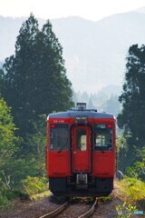 踏切を通過後のリアビューを狙う！