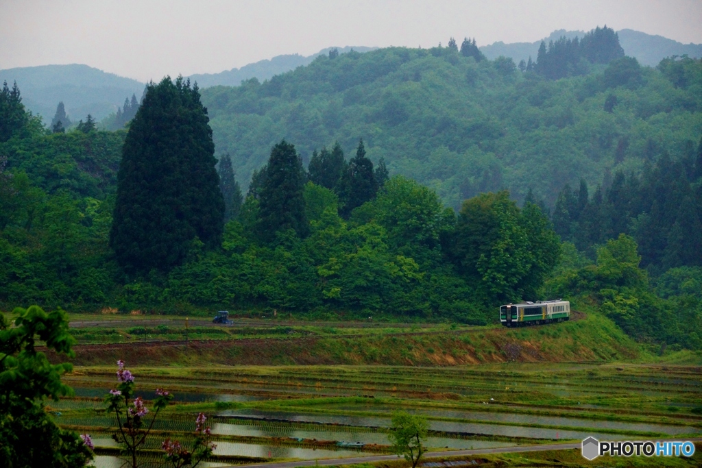 入広瀬の里山①