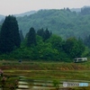 入広瀬の里山①