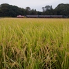 久しぶりの真岡鉄道！③