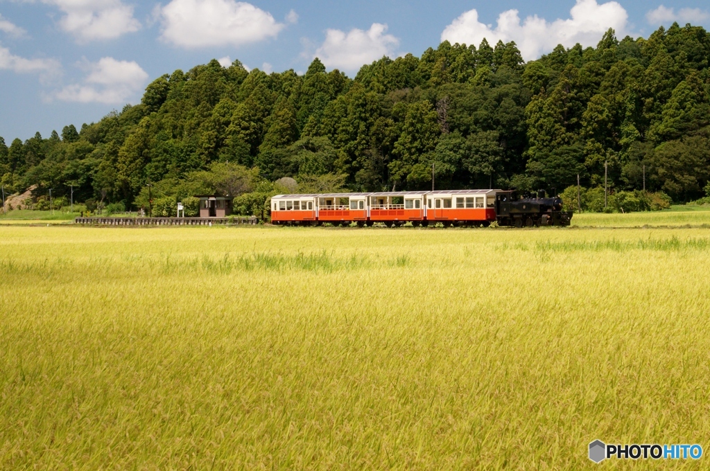 小湊鉄道　トロッコ列車　上総川間駅通過！②（完）