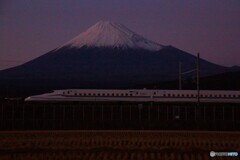 夕暮れの赤富士と新幹線！