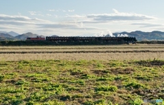 真岡鉄道　特殊運転①～⑫の中の⑪！