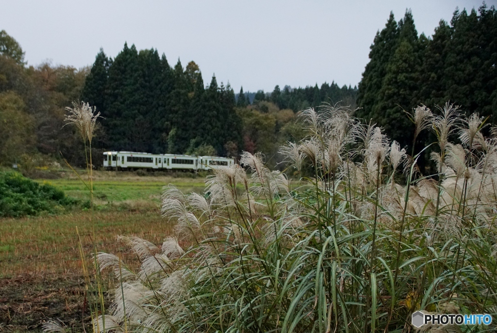 晩秋の臨時列車「只見満喫号」！