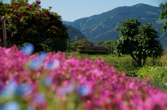 この撮影場所は駅の右隣り！