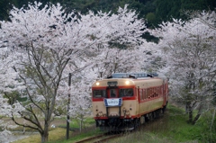 なのはな急行登場！