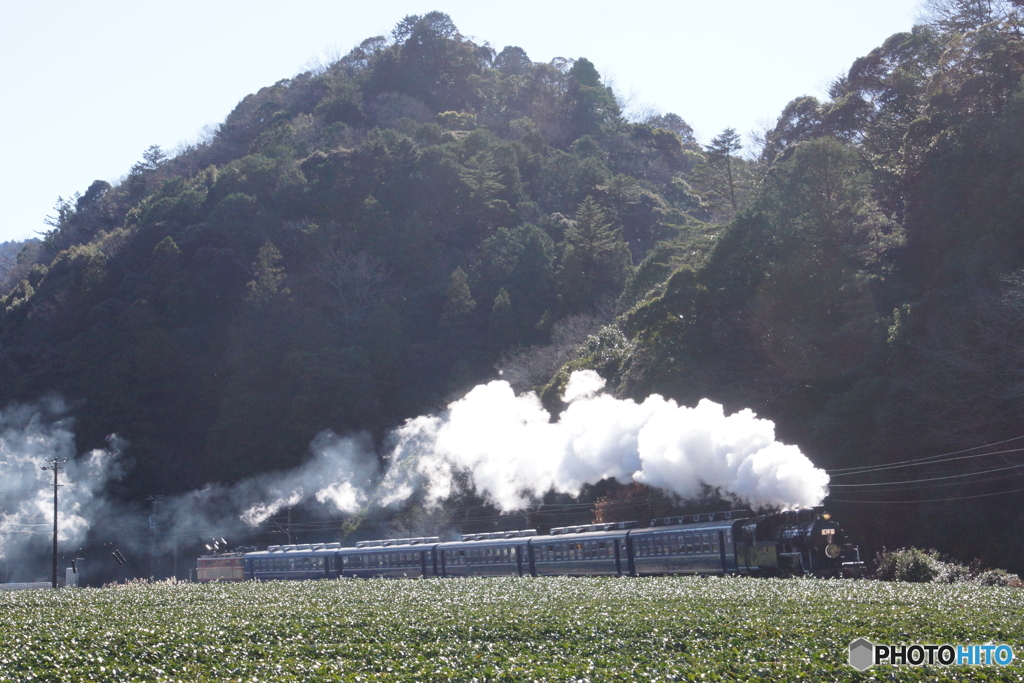 大井川鉄道　C10‐8原型撮影！