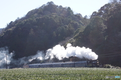 大井川鉄道　C10‐8原型撮影！