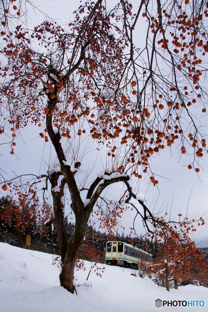 雪と柿・あいづ鉄道！