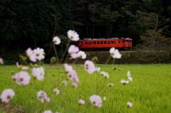 鮮烈なタラコ色のキハ40！