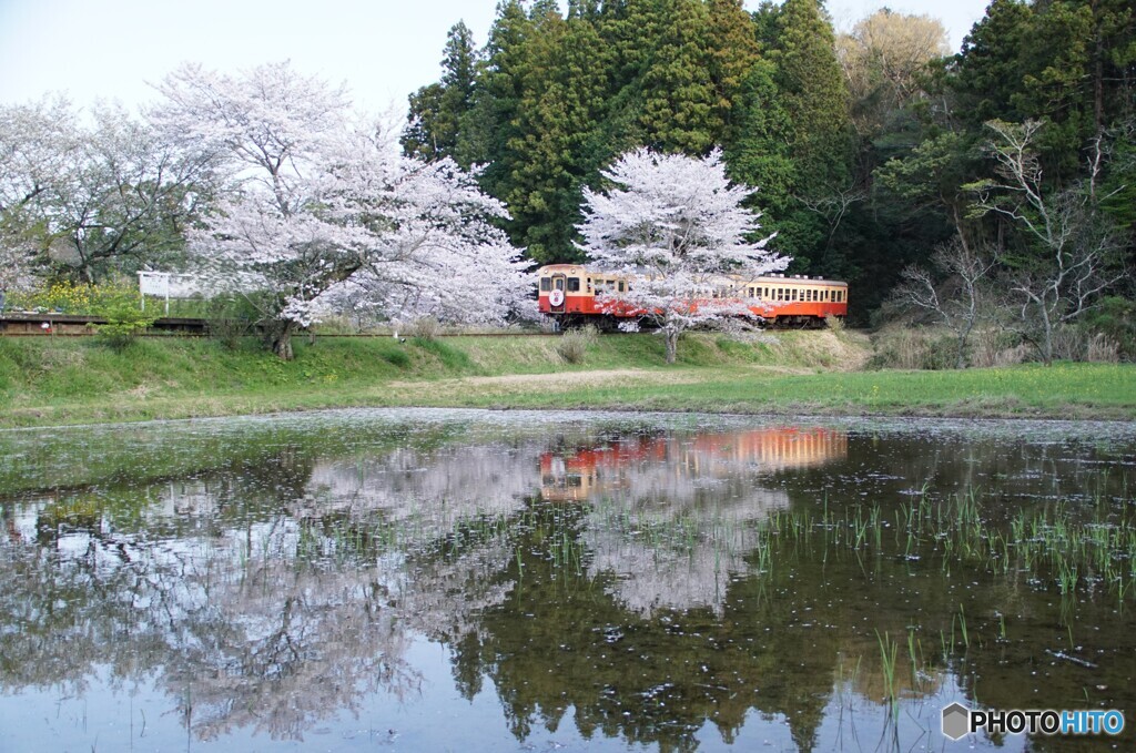 小湊鉄道の飯給駅全景！