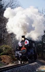 今年は運休！真岡鉄道の祝賀列車partⅡ