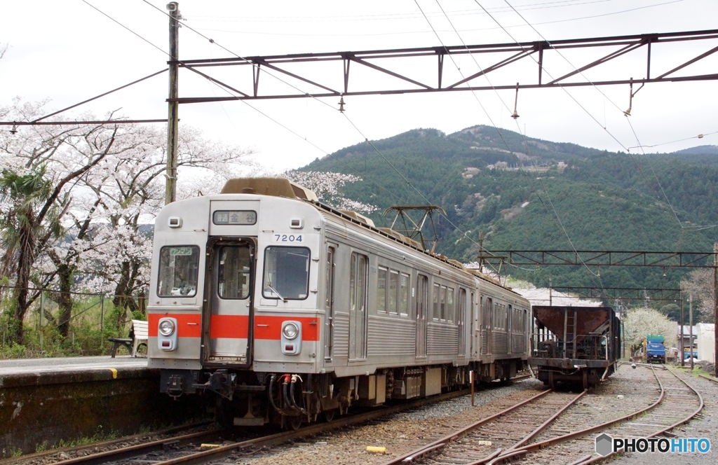 大井川鉄道で働く　元東急の車両！②