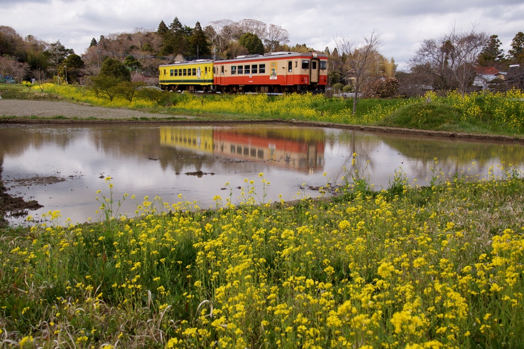 いすみ鉄道の田園風景