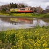 いすみ鉄道の田園風景