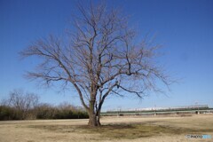 ダイヤ改正で乗入れ消滅！partⅡ