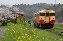 小湊鉄道　キハ40！