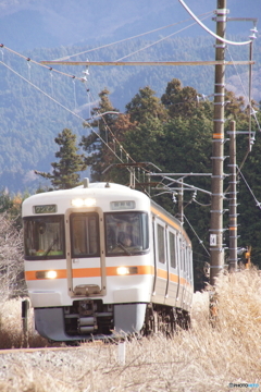 久しぶりの御殿場線！