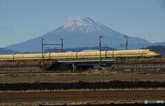 謹賀新年！幸せなイイ年になりますように！