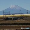 謹賀新年！幸せなイイ年になりますように！