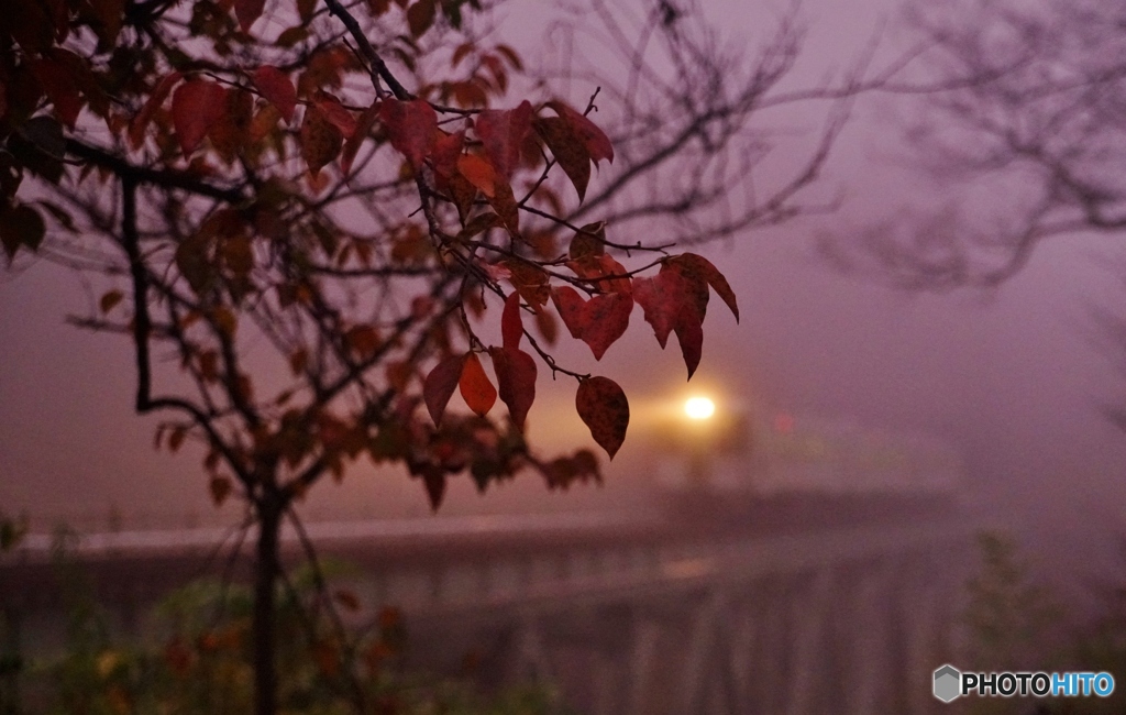 幻想的な霧に包まれて！