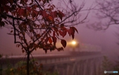 幻想的な霧に包まれて！