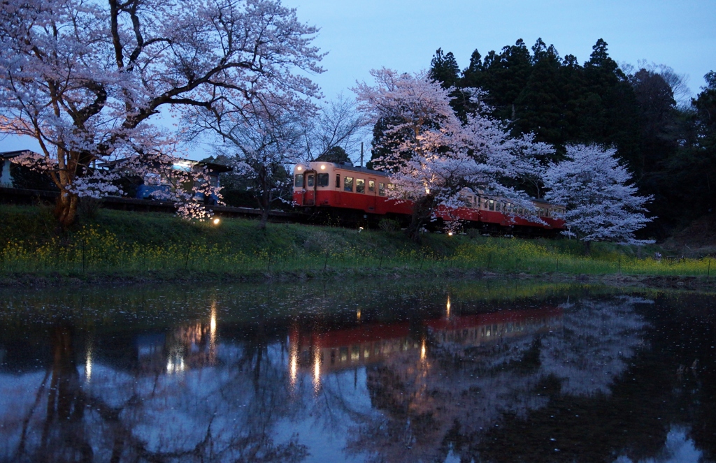 小湊鉄道の春！②